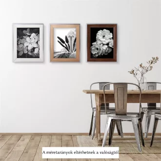 Dörr Villa képkeret 20x30, fehér