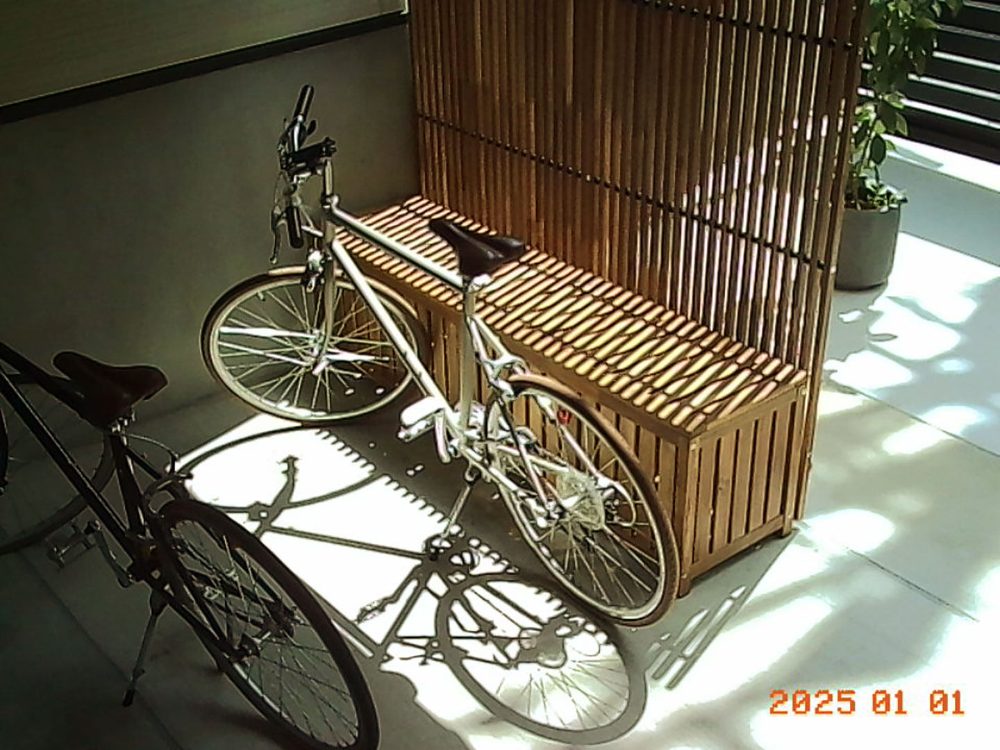 PICT0001.jpg